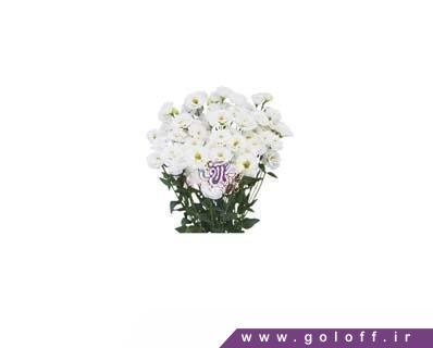 دسته گل زیبا - دسته گل لیسیانتوس پیکولو وایت - Lisianthus | گل آف